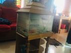 Fish aquarium tabel + ( food Oxygen pathor )