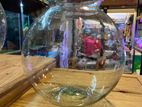 Fish Bowl / Glass Jar