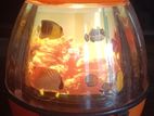 Fish Light