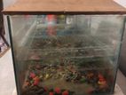 fish tank accourium for sale