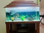 Fish Tank Aquarium 3.5 Feet