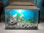 Fish Tank / Aquarium