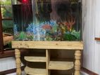 Fish Tank / Aquarium