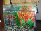 fish tank for sell