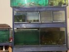 Fish,aquarium,aquarium er stand sell kora hobe