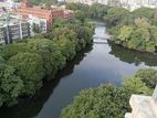 Flat Rent at Dhanmondi 5/A