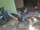 Focus Alpha 2.0 Bicycle for sell