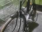 Phoenix Bicycle for sale