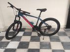 Phoenix Bicycle for sale