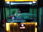 Food cart 2025