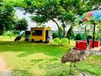 Food Cart For Sell