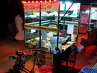 Foodcart Sell