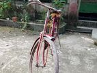 Bicycle For Sell