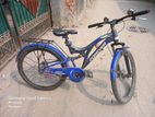 Forever Cycle