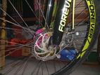 Forever cycle