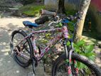 Foxter cycle