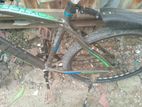 Bicycle for sell