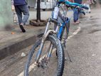 Foxter Cycle