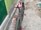 Foxter bicycle for sale