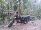 Freedom LML 110 . 2011