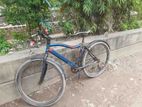 Fresh Bicycle for Sell