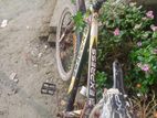 Fresh Bicycle for sell