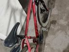 Bicycle for sale