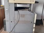 Fresh Condition