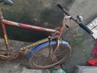 Bicycle for sell