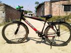 Fresh Duranta Bicycle