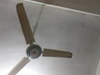 Ceiling Fan for sale