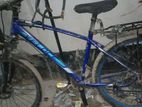 Bicycle for sell