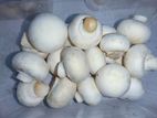 Fresh Mashroom without chemicals