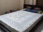 fresh new condition bed