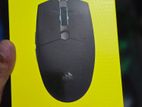 Fresh New Mouse