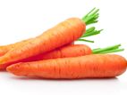 Fresh Organic Carrots