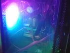 Fresh PC sell