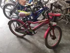 Express Bicycle for Sale