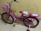 Frozen Bicycle For 8-up Aged Girls