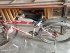 Cycle for sell