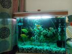 Ful freshh aquarium for sell