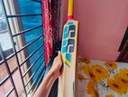 full Cricket instrument with match bat