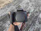 Full Fresh Canon EOS 77D with 55-250 Zoom Lens