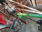 Full fresh condition Bicycle