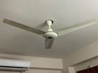 Full Fresh Condition Ceiling Fan