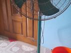 full fresh fan for sale