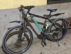 Phoenix Bicycle for sale Full Fresh