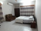 Full -Furnished Apartment 2200sft