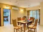 Full Furnished Apartment Rent Gulshan