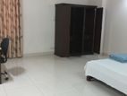 Full Furnished Residencial & Commarcial Use 2500.sqft